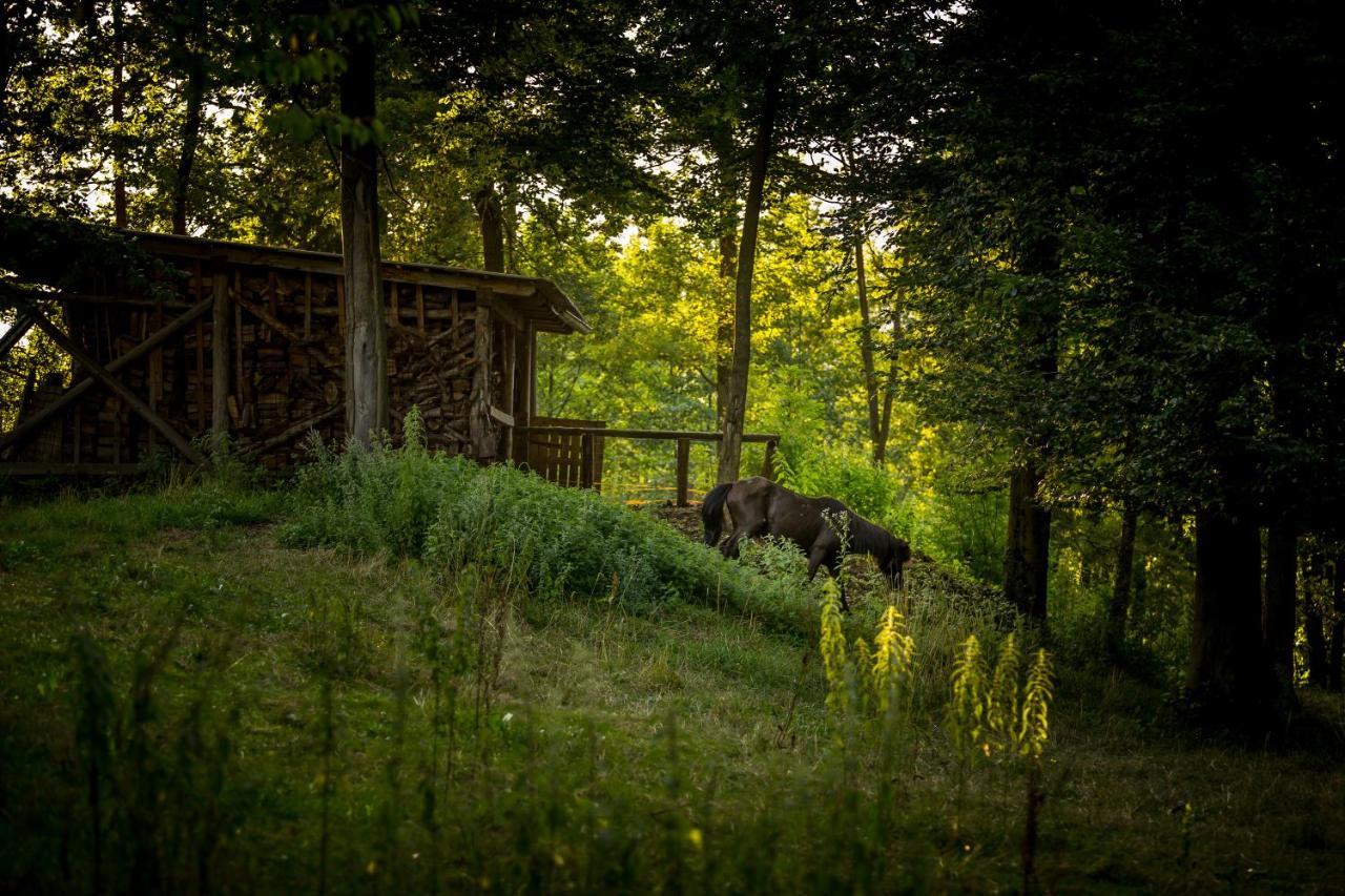 Forest Camping Mozirje Luaran gambar