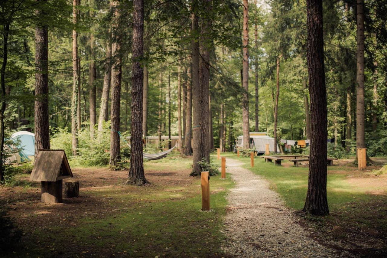 Forest Camping Mozirje Luaran gambar