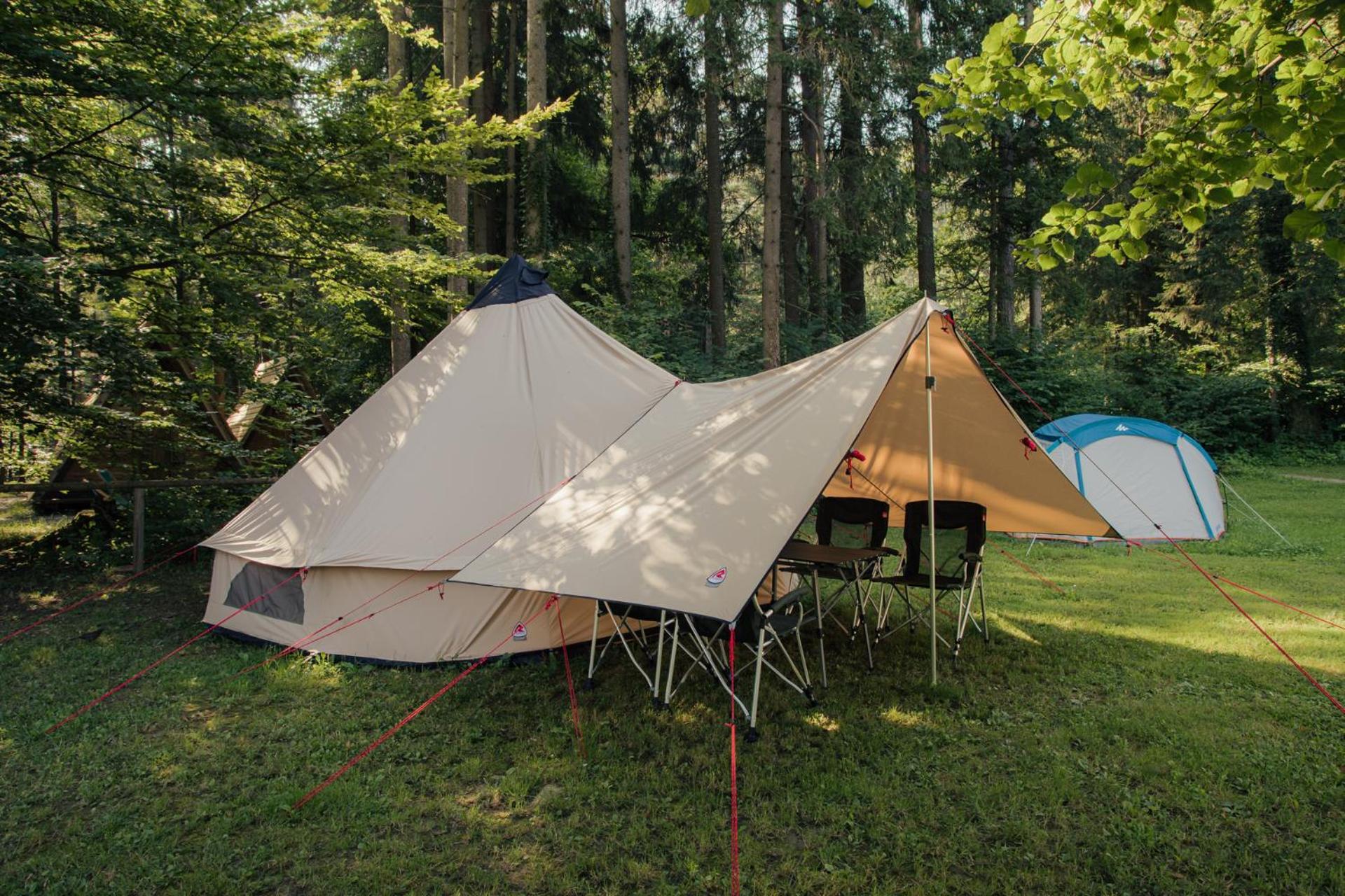 Forest Camping Mozirje Bilik gambar