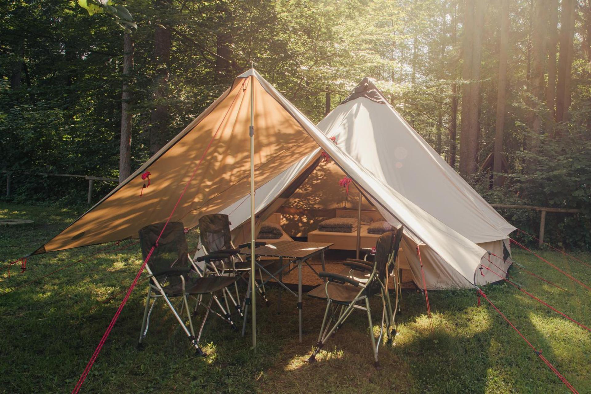 Forest Camping Mozirje Bilik gambar