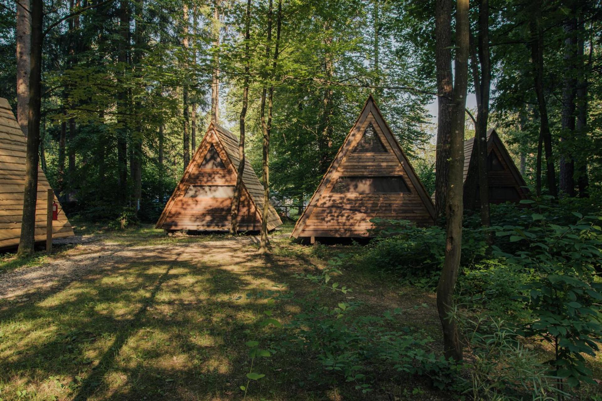 Forest Camping Mozirje Bilik gambar