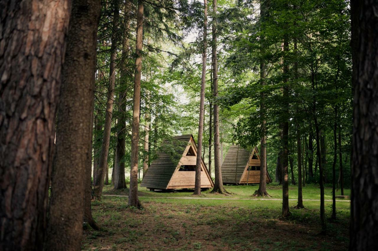 Forest Camping Mozirje Luaran gambar